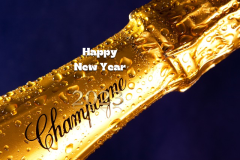 happy new year 2023 logo champagne-7647558_150.jpg