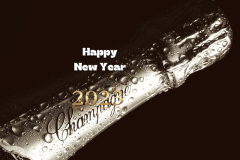 2022 happy new year champagne-.jpg