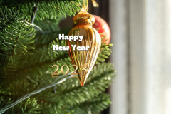 happy new year 2023 christmas-7668440_150.jpg