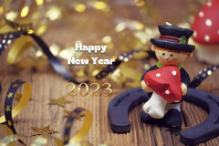 happy new year to you and your family happiness-.jpg